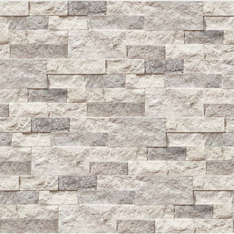 Galaxy Ledger Panel 6